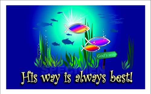 Text Card - His way is always Pack of 20 Same Design