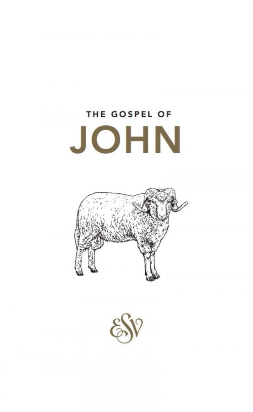 ESV Johns Gospel Pack of 20