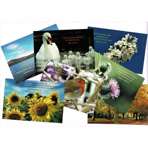 15 Blessings Postcards