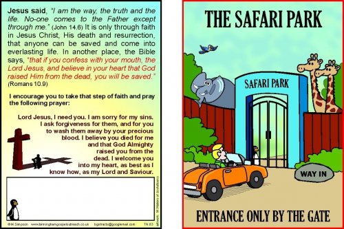 50 x Safari Tracts