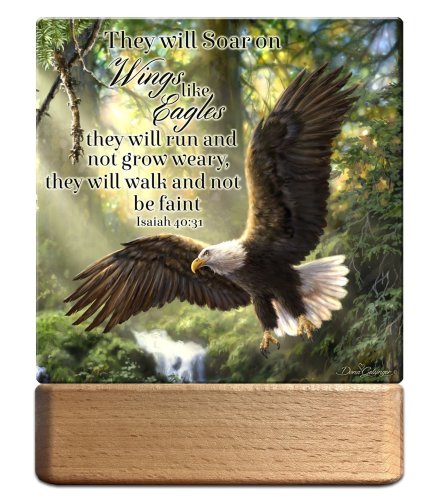 Night Light/Plaque-LED-Eagle's Flight w/ Scripture (7"H)