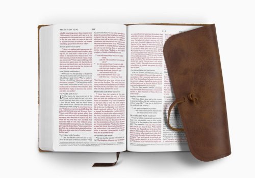 ESV Thinline Bible, Red Letter (Natural Leather, Brown, Flap with Strap)