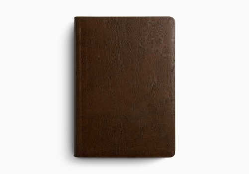 ESV Single Column Journaling Bible, Large Print (Bonded Leather, Mocha)