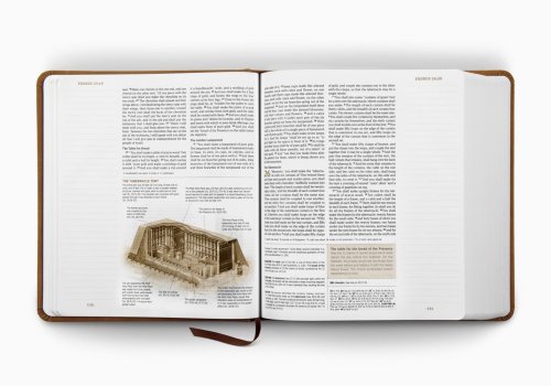 ESV Journaling Study Bible (TruTone over Board, Nubuck Caramel)