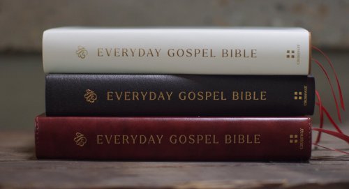 ESV Everyday Gospel Bible, TruTone®, Chestnut