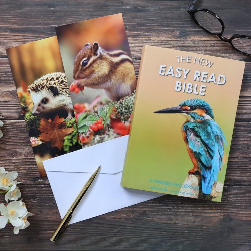 Easy Read Bible & Notecard Set