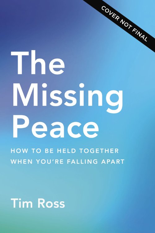 The Missing Peace