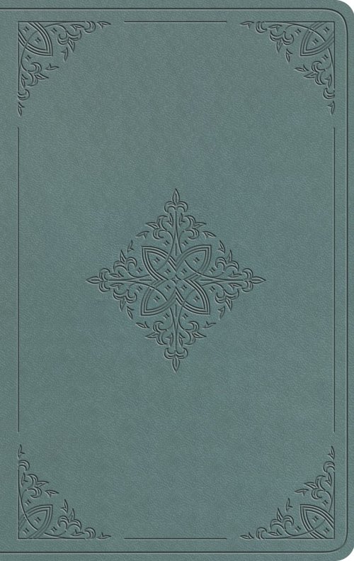 ESV Value Thinline Bible (TruTone, Paris Sky, Fleur-de-lis Design)