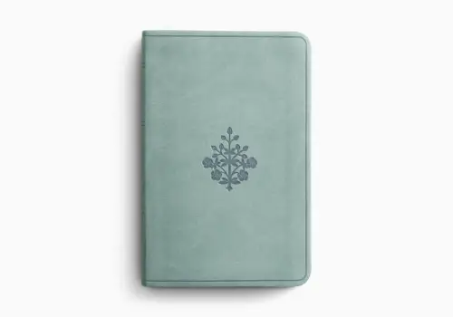 ESV Value Compact Bible (TruTone, Paris Sky, Branch Design)