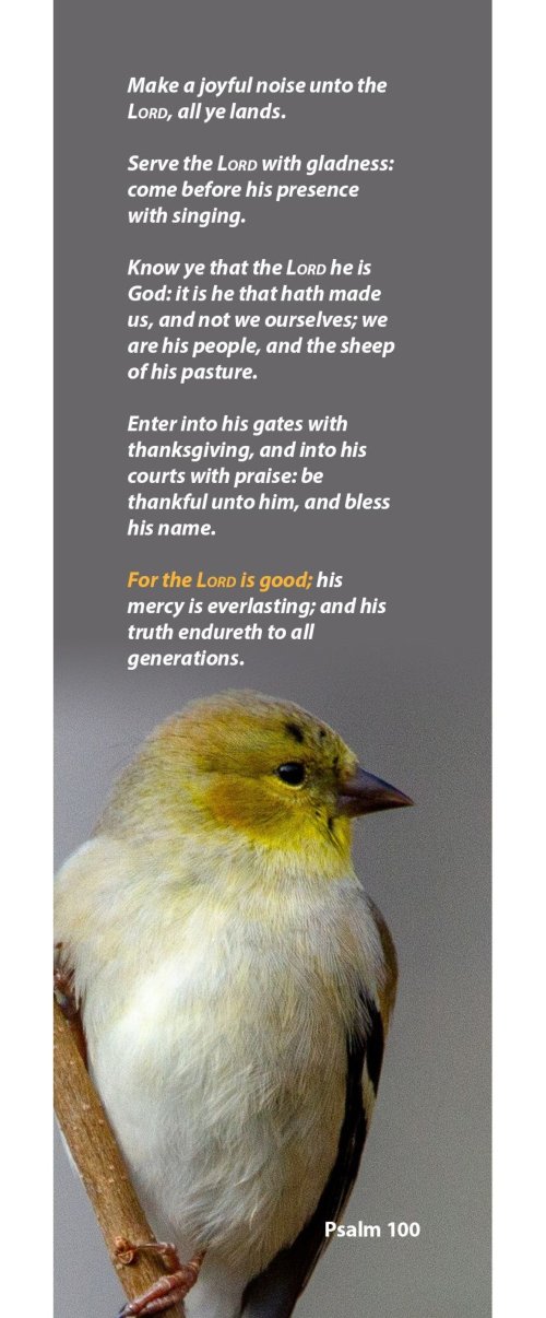 Bookmark-Make A Joyful Noise Unto The Lord  All Ye Lands (Pack Of 25)