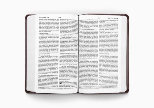 ESV Premium Gift Bible (TruTone, Chestnut, Filigree Design)