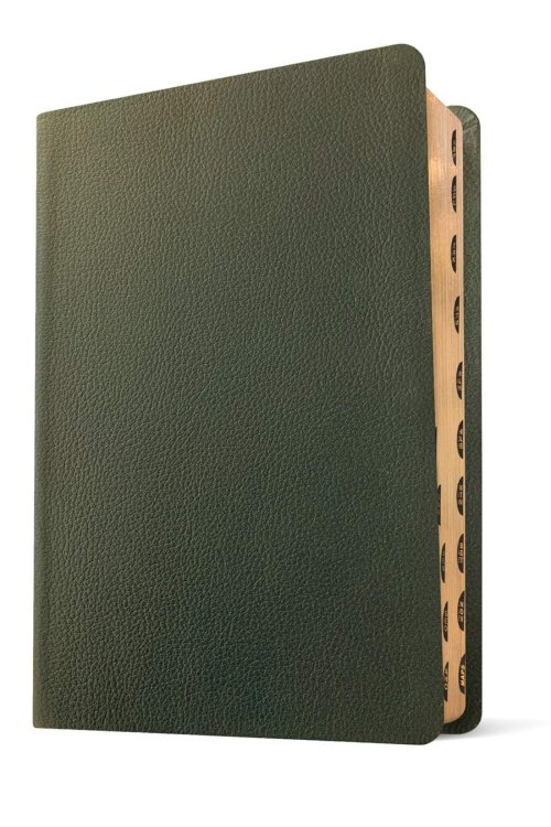 NLT Life Application Study Bible, Third Edition (Genuine Leather, Olive Green, Indexed, Red Letter)