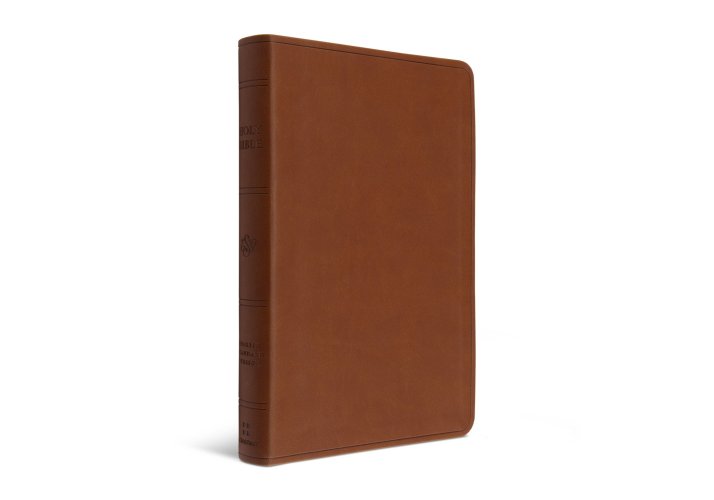 ESV Large Print Value Thinline Bible (TruTone, Camel)