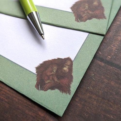 Notecard And Pen Set Boxed - Patricia Maccarthy Jungle Green