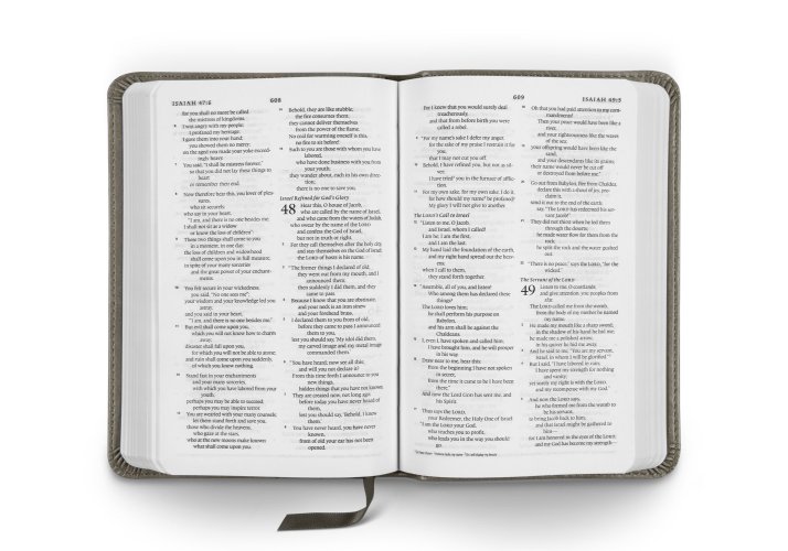 ESV Compact Bible (TruTone, Silver, Sword Design)