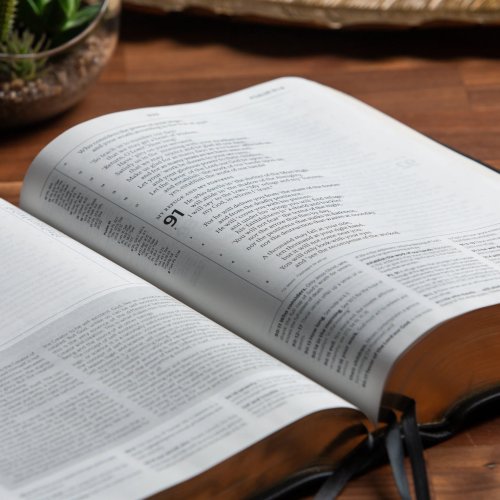 ESV Reformation Study Bible