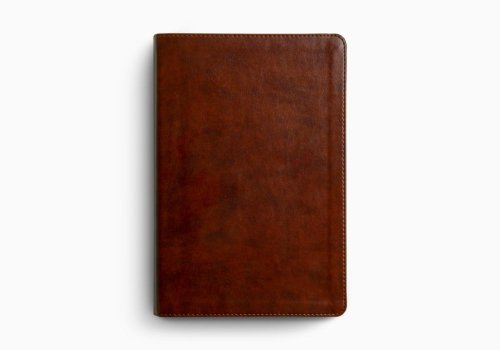 ESV Everyday Gospel Bible, TruTone®, Chestnut