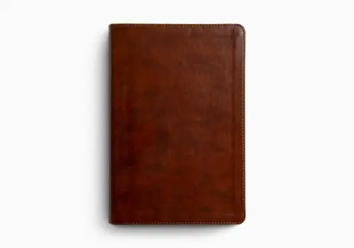 ESV Everyday Gospel Bible, TruTone®, Chestnut