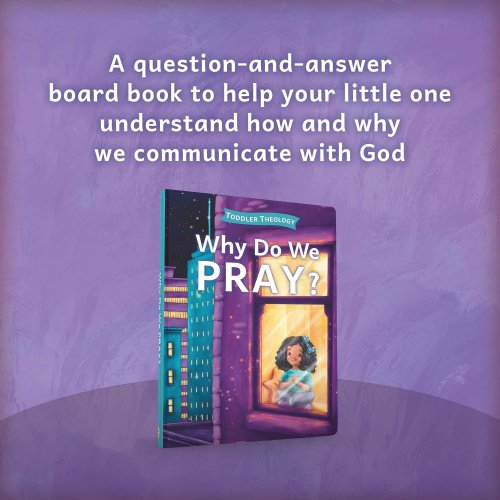 Why Do We Pray?: A Toddler Theology Book about Talking to God