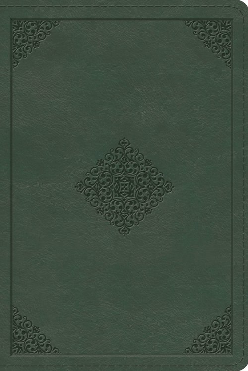 ESV Study Bible, Personal Size (TruTone, Quiet Forest, Ornament Design)