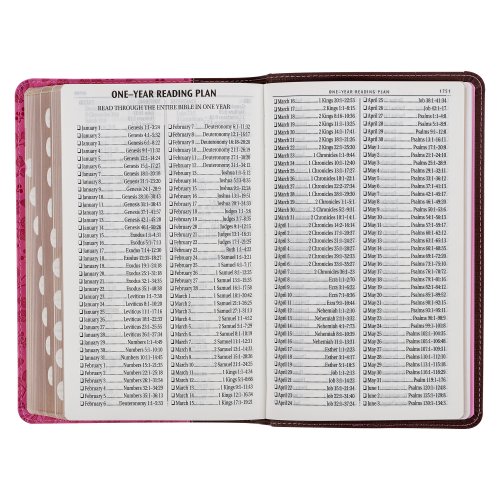 Brown and Berry Pink Faux Leather Giant Print Standard-size King James Version Bible with Thumb Index