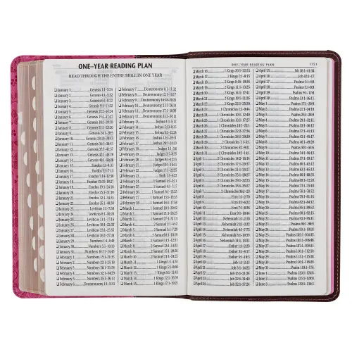 Brown and Berry Pink Faux Leather Giant Print Standard-size King James Version Bible with Thumb Index