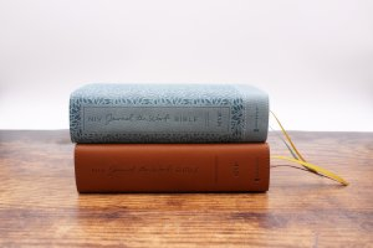 NIV, Journal the Word Bible (Perfect for Note-Taking), Large Print, Leathersoft, Teal, Red Letter, Comfort Print