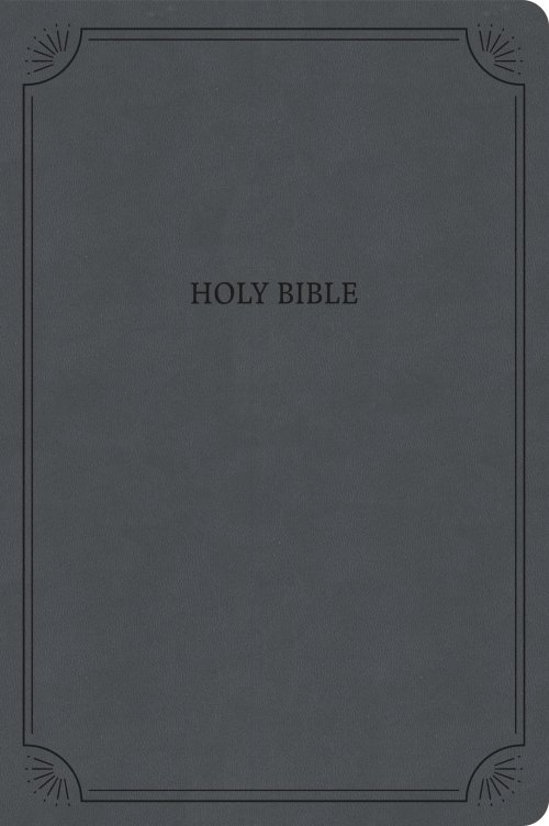 NASB Large Print Thinline Bible, Value Edition, Charcoal