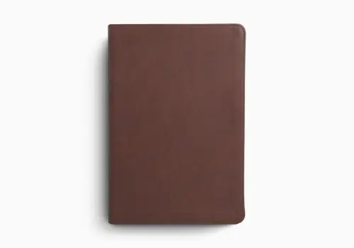 ESV Chronological Bible (TruTone, Brown)