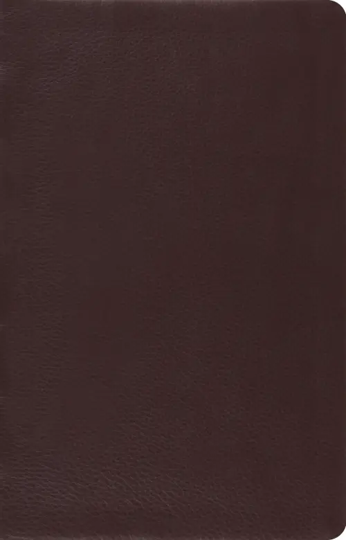 ESV Large Print Thin Reference Bible