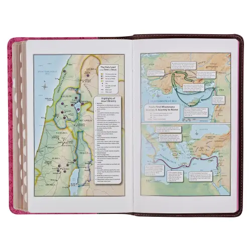 Brown and Berry Pink Faux Leather Giant Print Standard-size King James Version Bible with Thumb Index