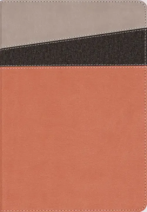 NIV Application Bible, Leathersoft, Coral/Gray, Red Letter, Comfort Print