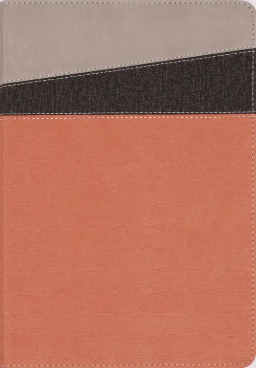 NIV Application Bible, Leathersoft, Coral/Gray, Red Letter, Thumb Indexed, Comfort Print