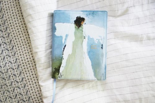 Amplified Holy Bible, Anne Neilson Angel Art Series, Leathersoft, Blue