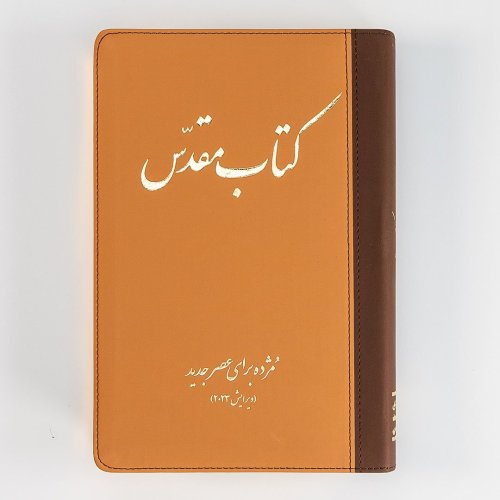 Today's Persian Version Revised Deluxe (Brown)