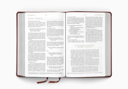 ESV Everyday Gospel Bible, TruTone®, Chestnut