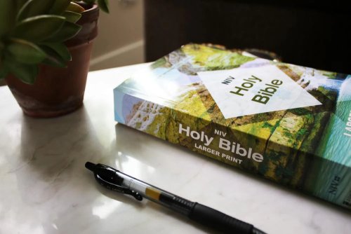 NIV, Holy Bible, Larger Print, Economy Edition, Paperback, Teal/Tan, Comfort Print