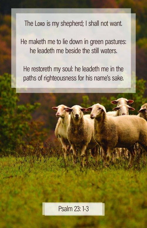 General Worship Bulletin: My Shepherd (Package of 100)