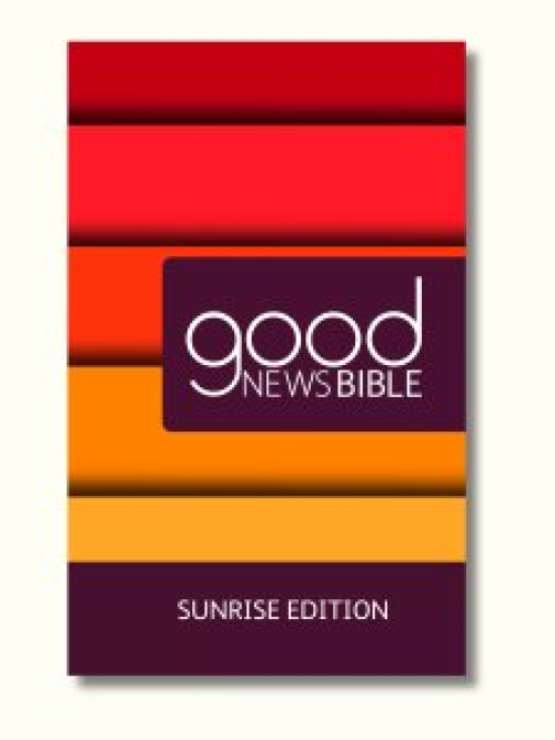 Bible Translation Bundle