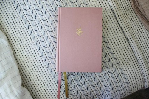 NIV Study Bible, Fully Revised Edition (Study Deeply. Believe Wholeheartedly.), Cloth over Board, Pink, Red Letter, Comfort Print