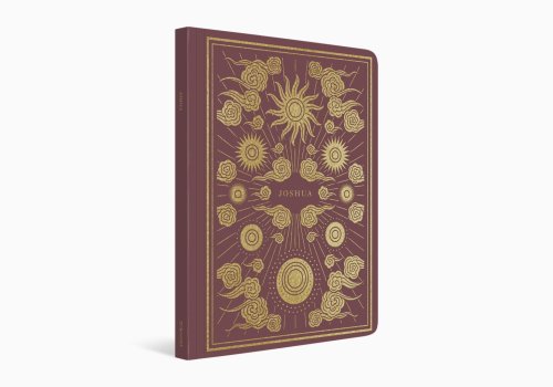 Joshua - ESV Illuminated Scripture Journal