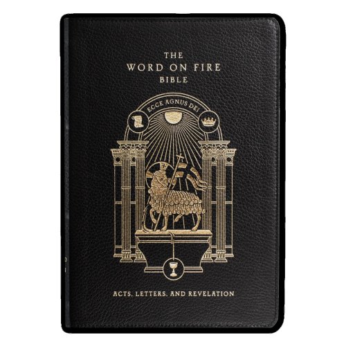 The Word on Fire Bible: Volume 2