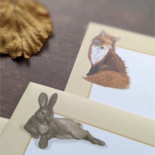 Foldover Writing Paper Set - Patricia Maccarthy Wildlife