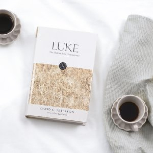 The Hodder Bible Commentary: Luke