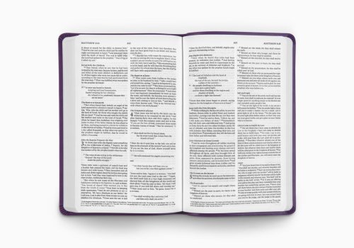 ESV Value Thinline Bible (TruTone, Lavender, Ornament Design)