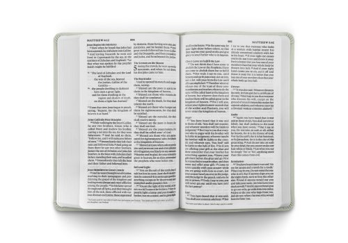 ESV Large Print Value Thinline Bible