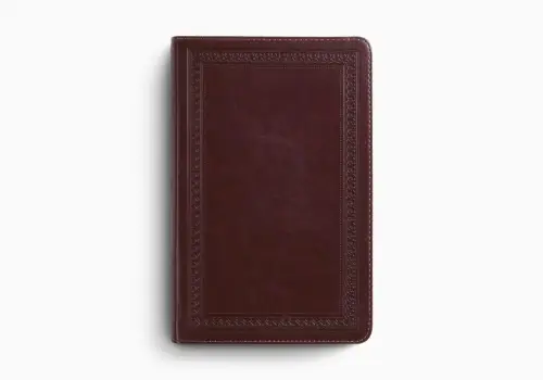 ESV Thinline Bible, Red Letter (TruTone, Mahogany, Border Design)