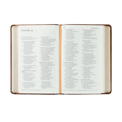 NLT Compact Bible: Aurora Theme