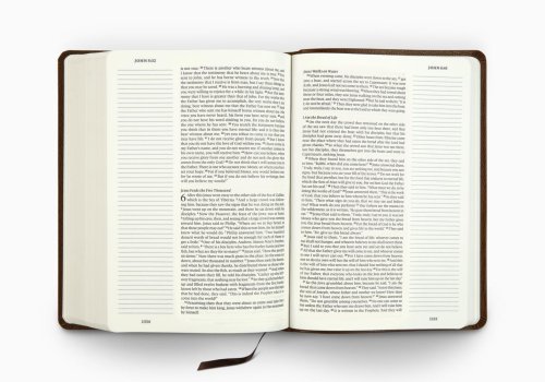 ESV Single Column Journaling Bible, Large Print (Bonded Leather, Mocha)