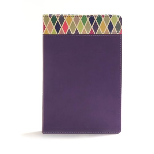 CSB Rainbow Study Bible, Purple LeatherTouch